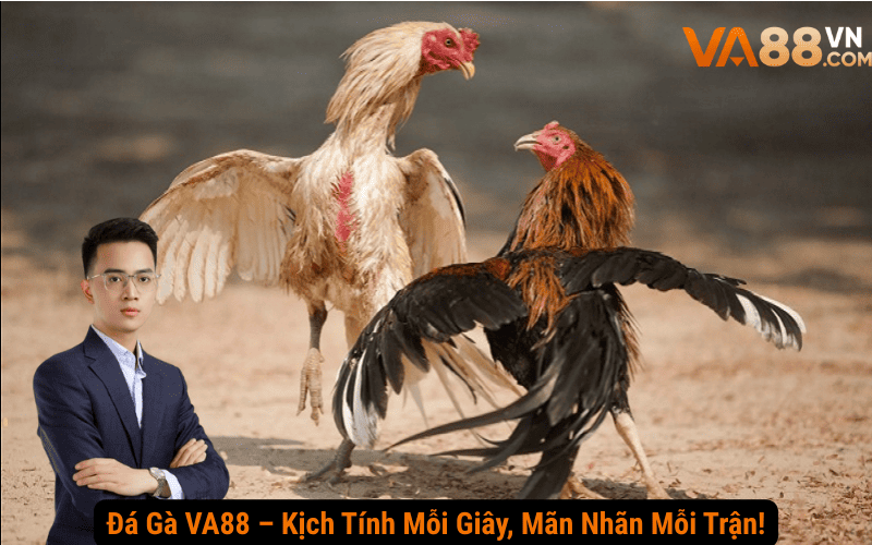 Đá Gà VA88 – Kịch Tính Mỗi Giây, Mãn Nhãn Mỗi Trận!