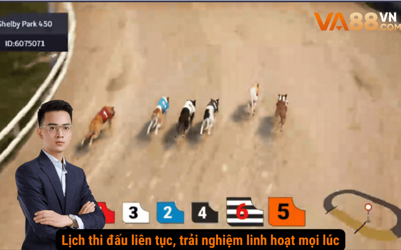 Lịch thi đấu liên tục, trải nghiệm linh hoạt mọi lúc